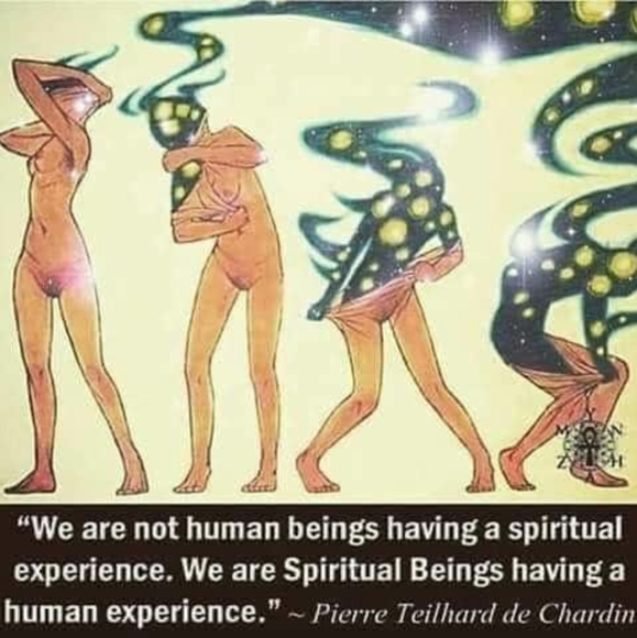 Meet your Posher, Josie - Picture 2 of 4